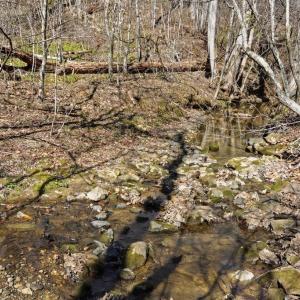 Photo #16 of LOT 7B OLD STILLHOUSE RD, BOSTON, VA 8.7 acres