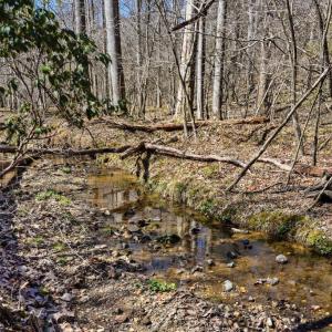 Photo #4 of LOT 7B OLD STILLHOUSE RD, BOSTON, VA 8.7 acres