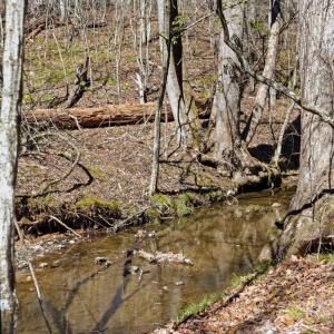 Photo #3 of LOT 7B OLD STILLHOUSE RD, BOSTON, VA 8.7 acres