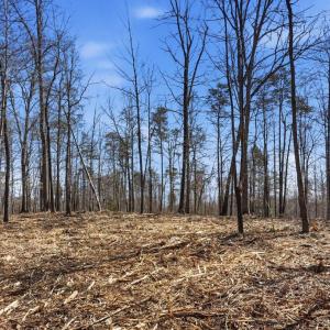 Photo #2 of LOT 7B OLD STILLHOUSE RD, BOSTON, VA 8.7 acres