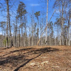 Photo #1 of LOT 7B OLD STILLHOUSE RD, BOSTON, VA 8.7 acres