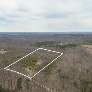 Photo #3 of WESBEY DR, LOUISA, VA 13.2 acres