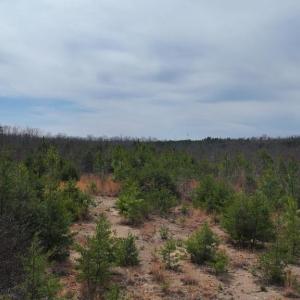 Photo #6 of WESBEY DR, LOUISA, VA 13.2 acres