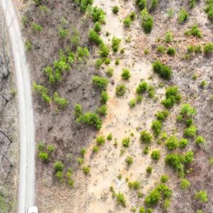 Photo #10 of WESBEY DR, LOUISA, VA 13.2 acres