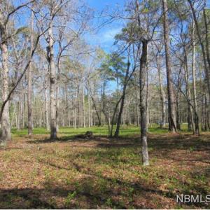 One Acre Wooded Lot