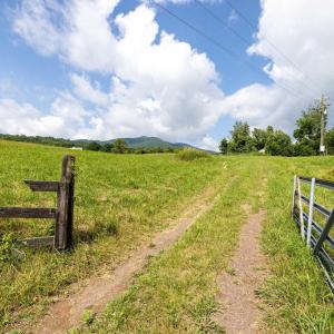 Photo #6 of THORNTON GAP CHURCH RD, SPERRYVILLE, VA 5.0 acres