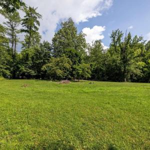 Photo #17 of THORNTON GAP CHURCH RD, SPERRYVILLE, VA 5.0 acres