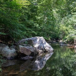 Photo #20 of THORNTON GAP CHURCH RD, SPERRYVILLE, VA 5.0 acres