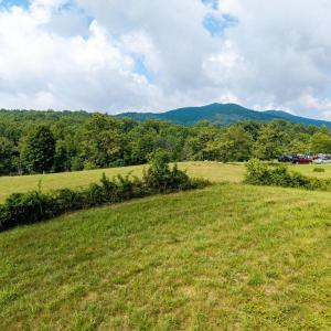 Photo #33 of THORNTON GAP CHURCH RD, SPERRYVILLE, VA 5.0 acres