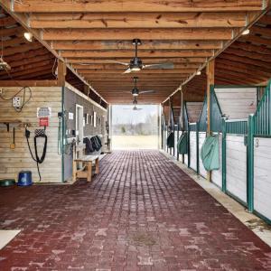 Photo #6 of 6478 LAUREL HILL LN, RIXEYVILLE, VA 8.0 acres