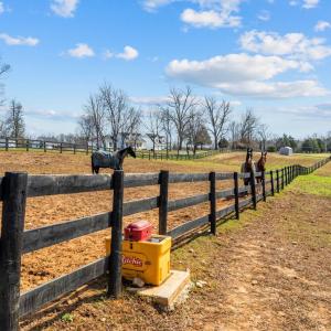 Photo #38 of 6478 LAUREL HILL LN, RIXEYVILLE, VA 8.0 acres