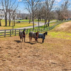 Photo #43 of 6478 LAUREL HILL LN, RIXEYVILLE, VA 8.0 acres