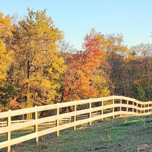 Photo #50 of 6478 LAUREL HILL LN, RIXEYVILLE, VA 8.0 acres