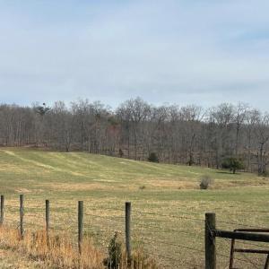 Photo #4 of UNKNOWN, AMISSVILLE, VA 100.3 acres