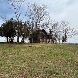 Photo #5 of UNKNOWN, AMISSVILLE, VA 100.3 acres