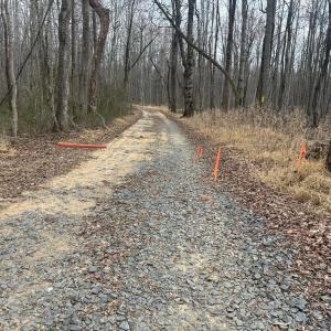 Photo #15 of UNKNOWN, AMISSVILLE, VA 100.3 acres