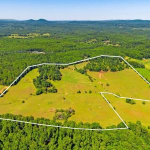 Photo #1 of UNKNOWN, AMISSVILLE, VA 100.3 acres