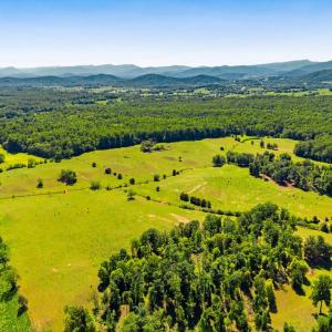 Photo #4 of UNKNOWN, AMISSVILLE, VA 100.3 acres