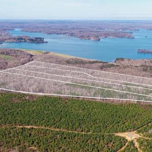 Photo #1 of ARRITT RD, BUMPASS, VA 107.1 acres