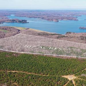 Photo #2 of ARRITT RD, BUMPASS, VA 107.1 acres