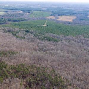 Photo #5 of ARRITT RD, BUMPASS, VA 107.1 acres