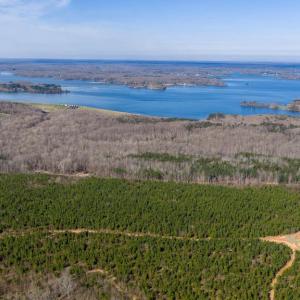 Photo #9 of ARRITT RD, BUMPASS, VA 107.1 acres