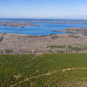 Photo #13 of ARRITT RD, BUMPASS, VA 107.1 acres