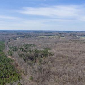 Photo #15 of ARRITT RD, BUMPASS, VA 107.1 acres