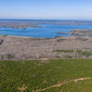 Photo #17 of ARRITT RD, BUMPASS, VA 107.1 acres