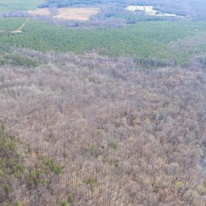 Photo #19 of ARRITT RD, BUMPASS, VA 107.1 acres
