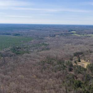Photo #23 of ARRITT RD, BUMPASS, VA 107.1 acres