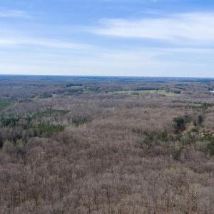 Photo #26 of ARRITT RD, BUMPASS, VA 107.1 acres