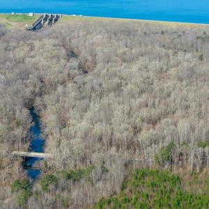 Photo #29 of ARRITT RD, BUMPASS, VA 107.1 acres