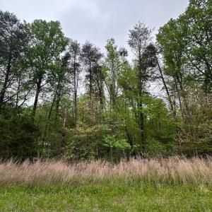 Photo #6 of PLUM TREE CIRCLE, BUMPASS, VA 1.0 acres