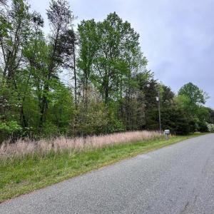 Photo #8 of PLUM TREE CIRCLE, BUMPASS, VA 1.0 acres