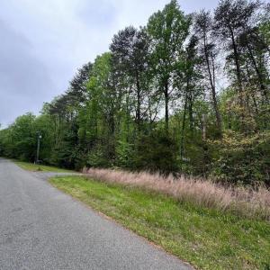 Photo #10 of PLUM TREE CIRCLE, BUMPASS, VA 1.0 acres