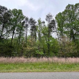 Photo #11 of PLUM TREE CIRCLE, BUMPASS, VA 1.0 acres