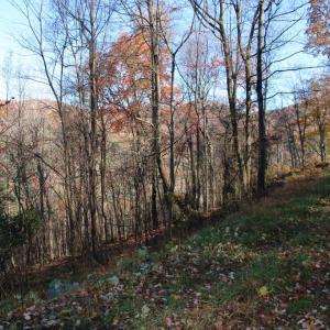 Photo #1 of 0 OVERLOOK MOUNTAIN RD, ELKTON, VA 3.3 acres