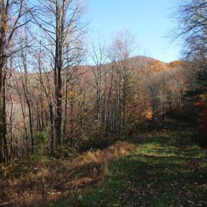 Photo #3 of 0 OVERLOOK MOUNTAIN RD, ELKTON, VA 3.3 acres