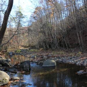 Photo #4 of 0 OVERLOOK MOUNTAIN RD, ELKTON, VA 3.3 acres