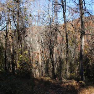 Photo #5 of 0 OVERLOOK MOUNTAIN RD, ELKTON, VA 3.3 acres