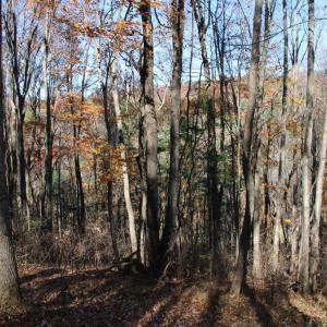 Photo #9 of 0 OVERLOOK MOUNTAIN RD, ELKTON, VA 3.3 acres