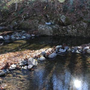 Photo #12 of 0 OVERLOOK MOUNTAIN RD, ELKTON, VA 3.3 acres