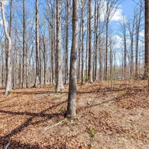 Photo #32 of DEEP CREEK CIRCLE, BUMPASS, VA 1.1 acres