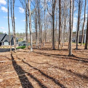 Photo #33 of DEEP CREEK CIRCLE, BUMPASS, VA 1.1 acres