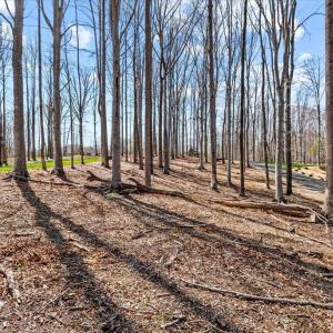 Photo #34 of DEEP CREEK CIRCLE, BUMPASS, VA 1.1 acres