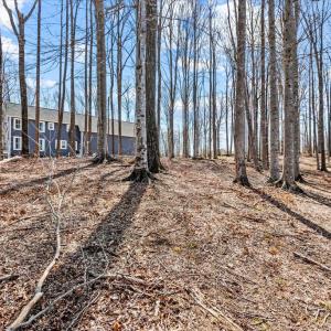 Photo #35 of DEEP CREEK CIRCLE, BUMPASS, VA 1.1 acres