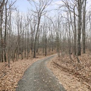 Photo #7 of 7389 LEEDS MANOR RD, MARSHALL, VA 101.0 acres