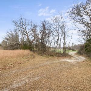 Photo #10 of 7389 LEEDS MANOR RD, MARSHALL, VA 101.0 acres