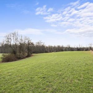 Photo #2 of 7389 LEEDS MANOR RD, MARSHALL, VA 101.0 acres